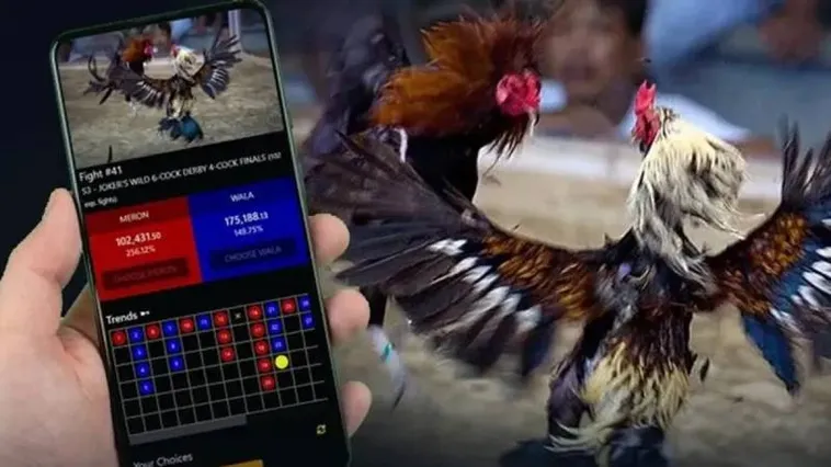 Trải Nghiệm Đá Gà Fafa191 Đỉnh Cao Sân Chơi Kịch Tính Nhất