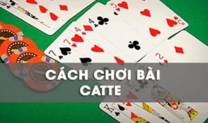 Cách Chơi Sắc Tê Nhà Cái Fafa191 Thắng Lớn Chuẩn Nhất